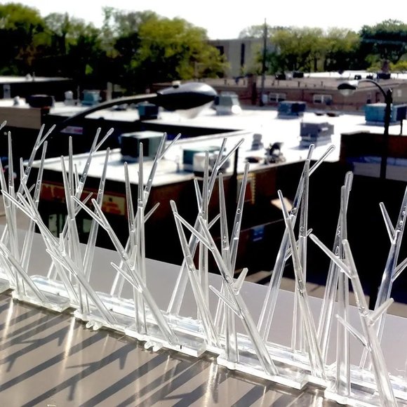 BIRD SPIKES - Harmless to Birds, 10' x 3" - Picture 5 of 7